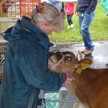 Fishers Mobile Farm @ Busy Bees Open Day, Chorley